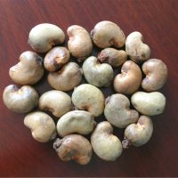 Cashew nut export